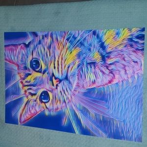 Original print. Colorful modern cat photo.